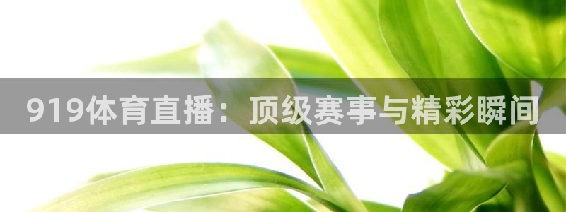 919体育直播：顶级赛事与精彩瞬间